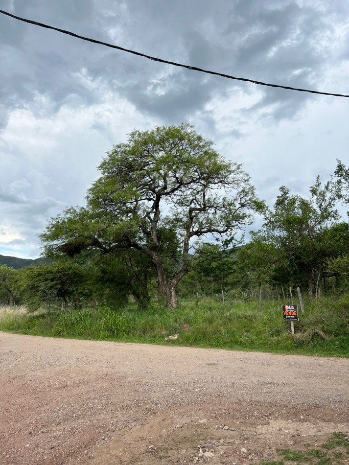 VENTA 4 LOTES EN CERRO DE ORO 