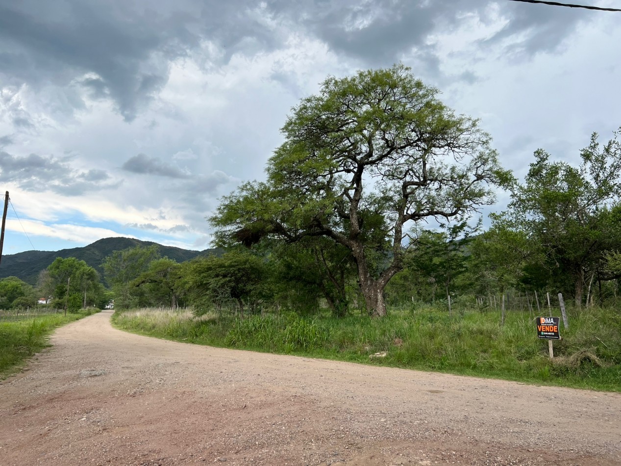 VENTA 4 LOTES EN CERRO DE ORO 