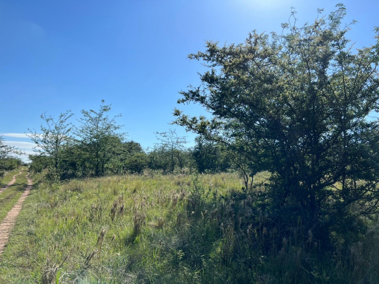 VENTA LOTE EN CAPILLA VIEJA - LOS REARTES