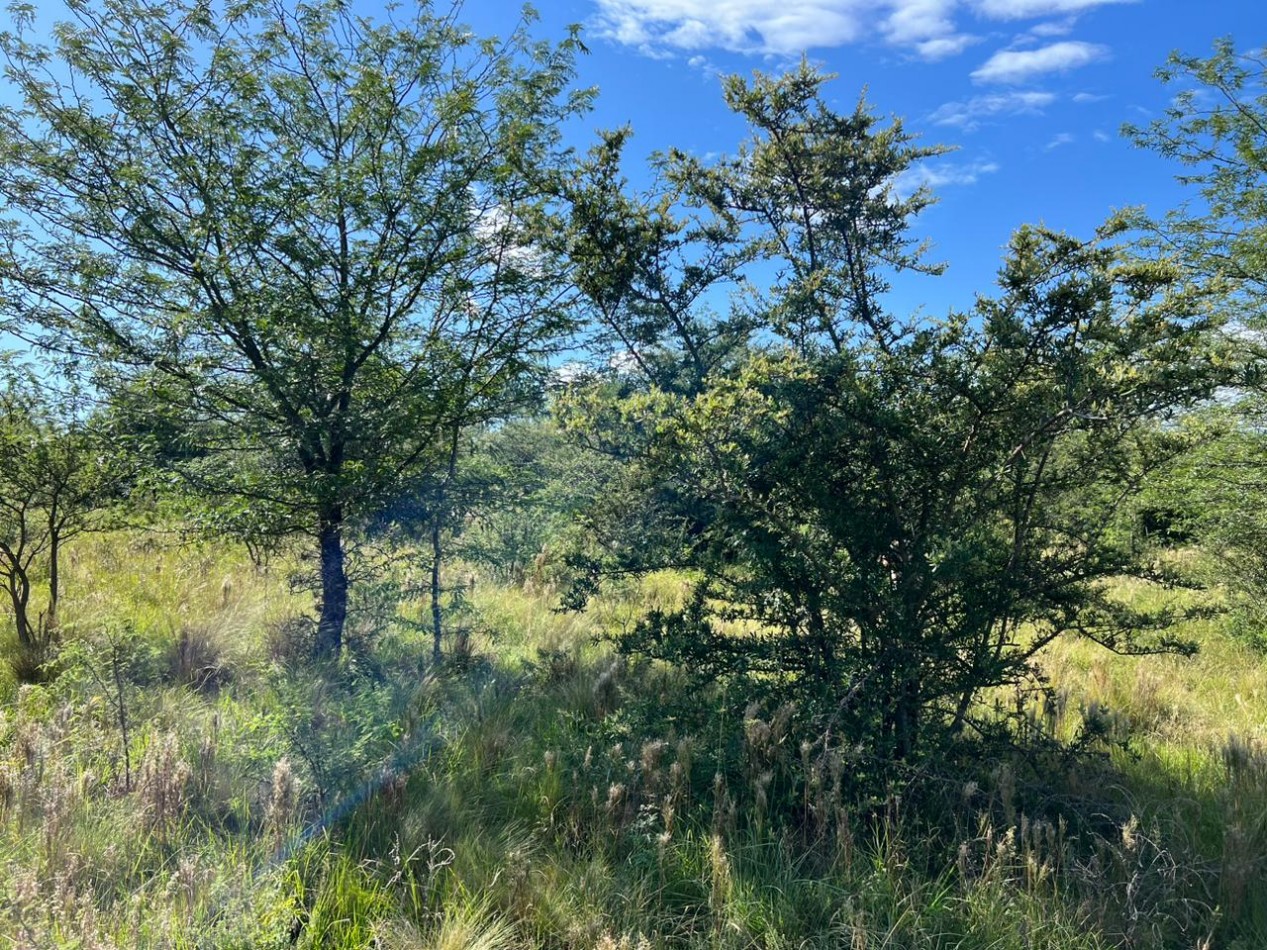 VENTA LOTE EN CAPILLA VIEJA - LOS REARTES