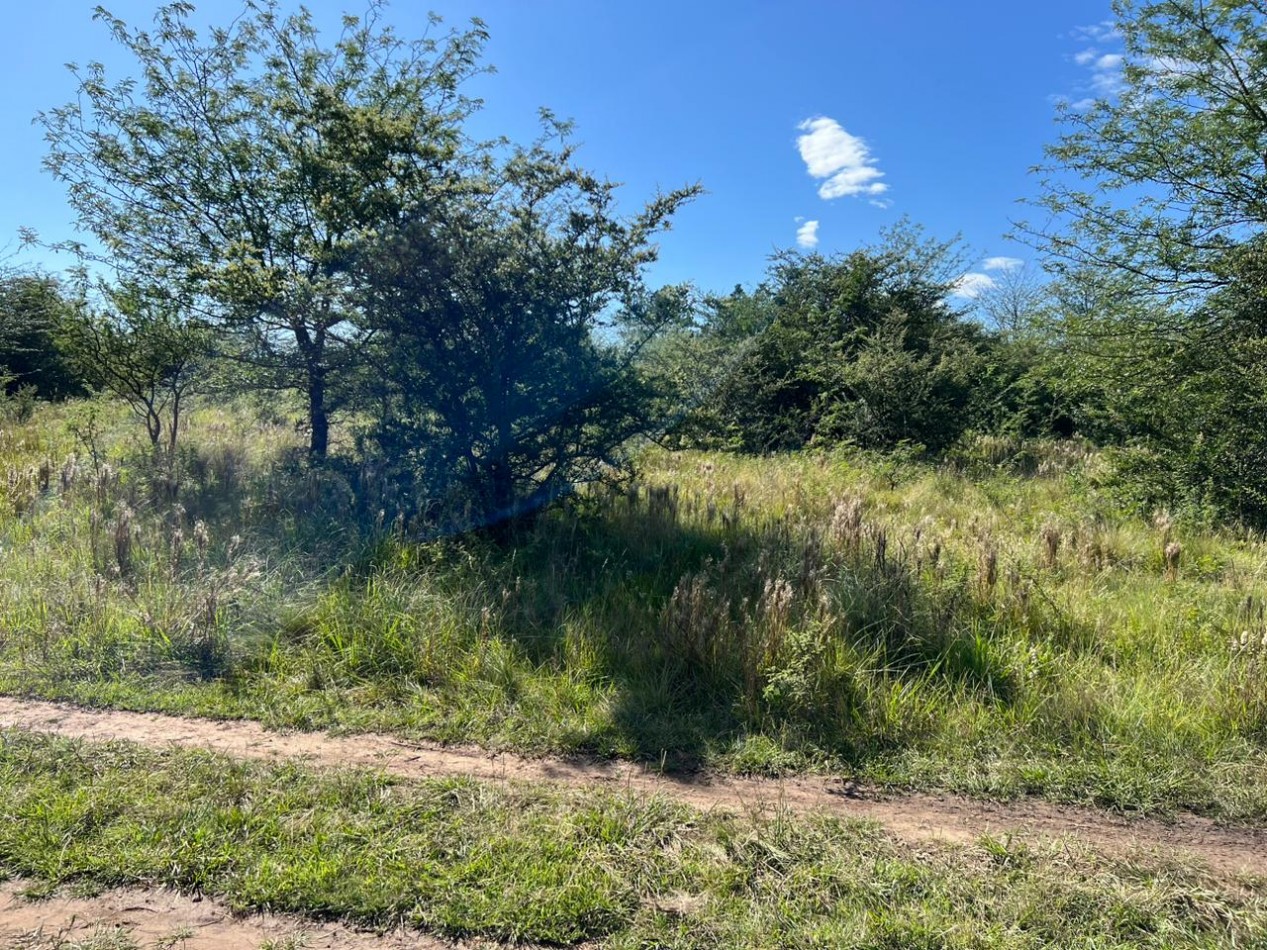 VENTA LOTE EN CAPILLA VIEJA - LOS REARTES