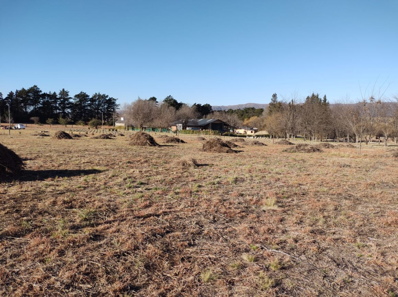 VENTA LOTE DE 1.081 MTS² - BRISAS DE TOTORALEJO - LOS REARTES