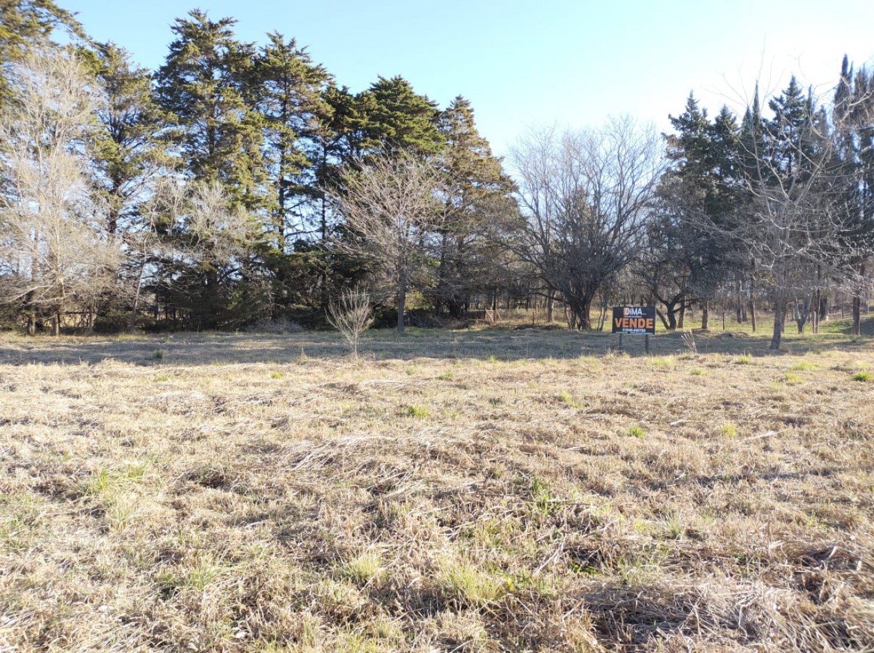 VENTA LOTE DE 1.081 MTS² - BRISAS DE TOTORALEJO - LOS REARTES