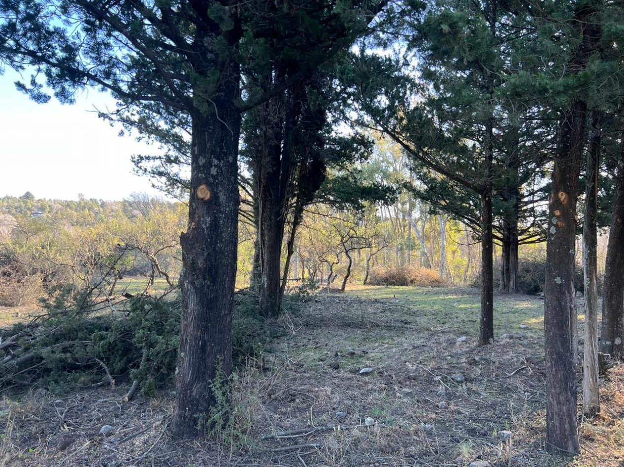 VENTA LOTES CALLE MARIANO MORENO - VILLA GENERAL BELGRANO