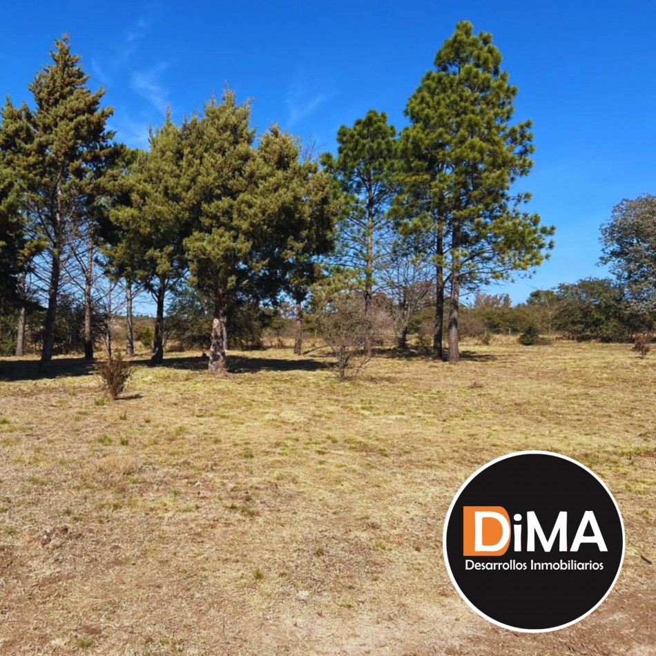 VENTA - LOTEO SIENA - CAPILLA VIEJA, LOS REARTES