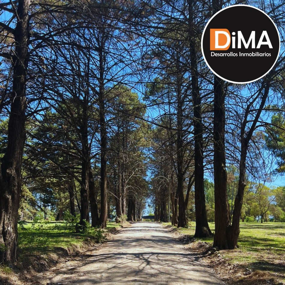 VENTA LOTEO BOSQUECILLO - VILLA GENERAL BELGRANO