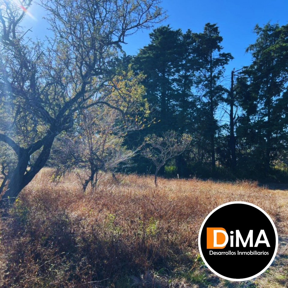 VENTA DE LOTE DE 1.311 MTS² - BARRIO PAMPAS DE LOS VASCOS - LOS REARTES