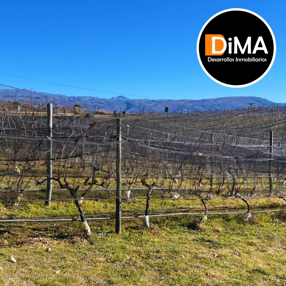 LOTES EN VENTA EN YACANTO - CON POSIBILIDAD DE TU CASA Y VIÑEDO PROPIO