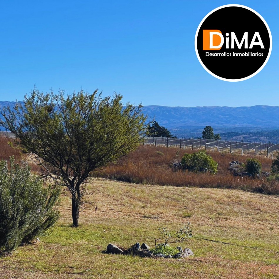 LOTES EN VENTA EN YACANTO - CON POSIBILIDAD DE TU CASA Y VIÑEDO PROPIO