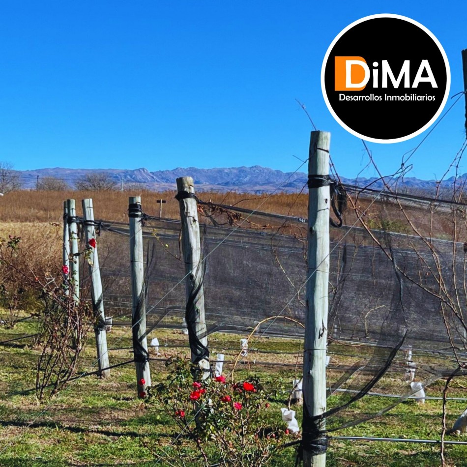 LOTES EN VENTA EN YACANTO - CON POSIBILIDAD DE TU CASA Y VIÑEDO PROPIO