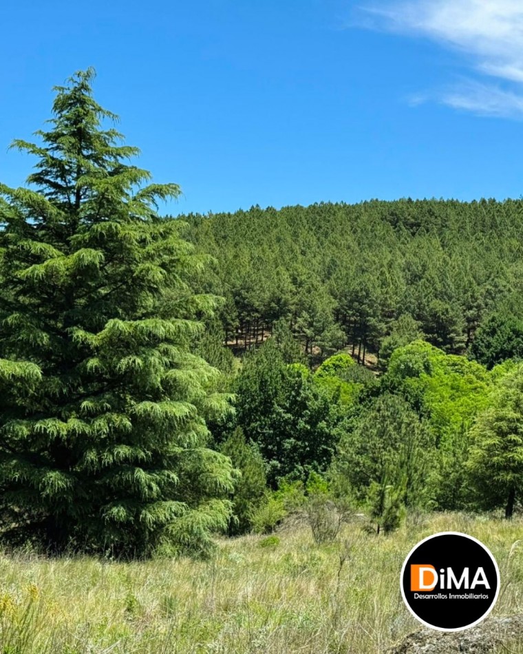 Lotes en Chacras de San Miguel