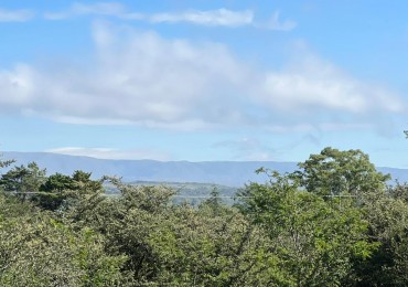 VENTA LOTE EN CAPILLA VIEJA - LOS REARTES