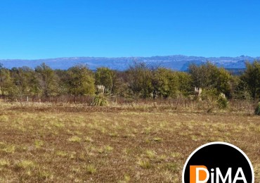 2 LOTES EN VENTA DE 2.500 MTS C/U - SOLAR DE LOS REARTES